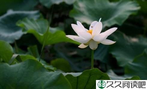 丧过之后，就加倍努力吧