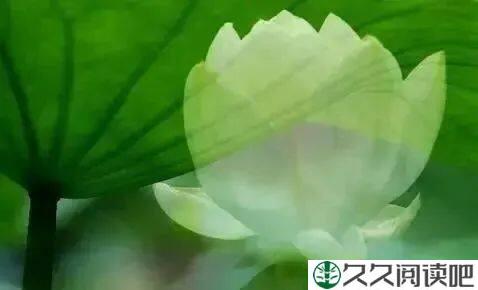 2022致自己：用真诚的心待人，用善良的心做人