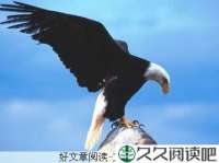 做精品必有静气