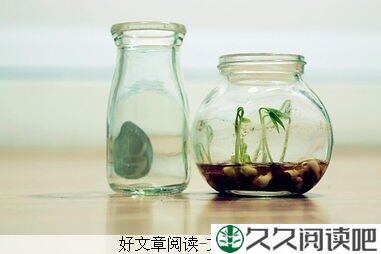 吉米的故事
