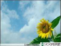 笑对人生
