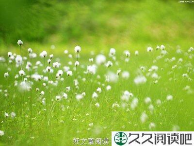 经典的矛盾哲理，能看懂的都是人才！