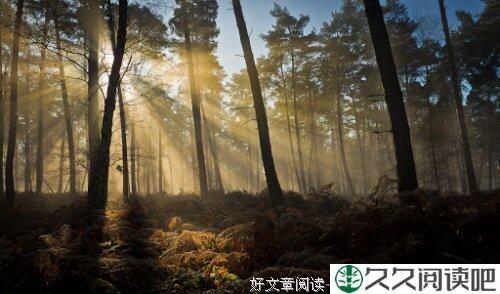 生命的任务