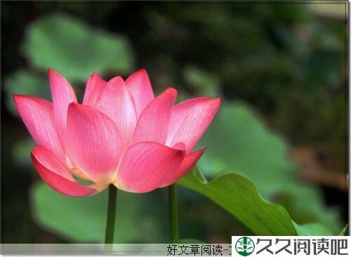 决定你成败的关键