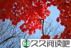 人与人，合不合适问心；情与情，值不值得在于懂