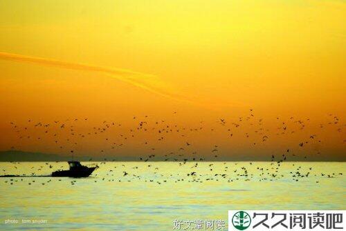 ?觏?嵛液Ｒ啵ǘ?? /> <input type=