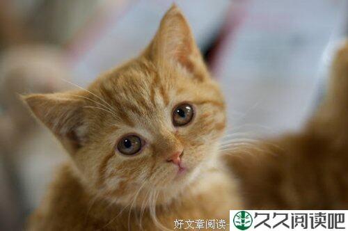 做与不做，何哉？尽力，足矣。