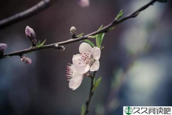 成大事者，绝不会轻易辜负人
