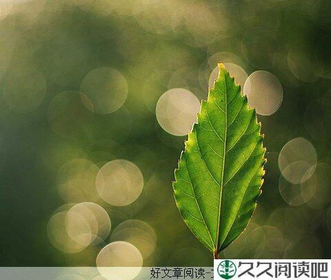 没有人会为你的失败买单