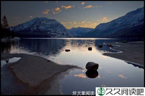 爱是什么