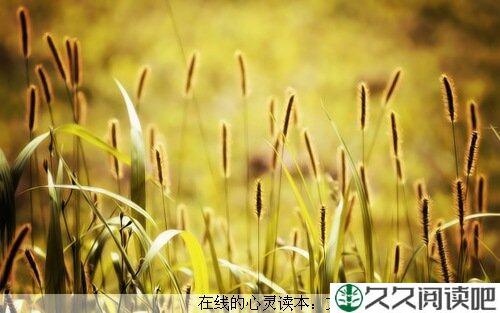 认真的做好每一件事