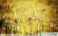 认真的做好每一件事