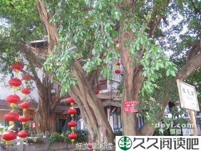 初秋回忆