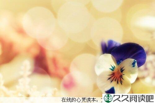 自己为自己鼓掌