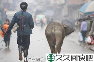 一头卖不掉的牛