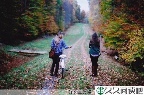 生长在垃圾桶里的玫瑰