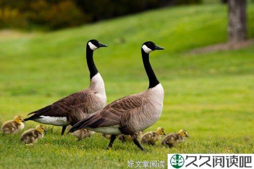 母亲节的感触