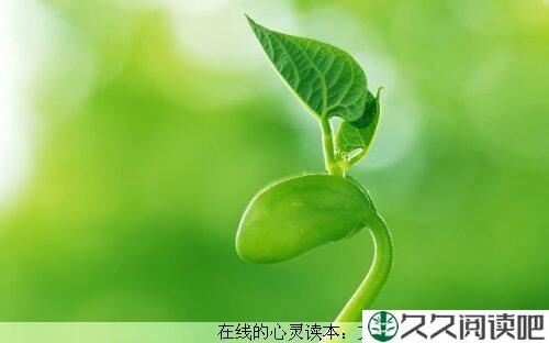 坚持就是胜利