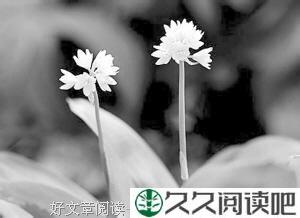 被植物人唤醒的温存