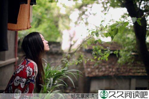 山中的泉