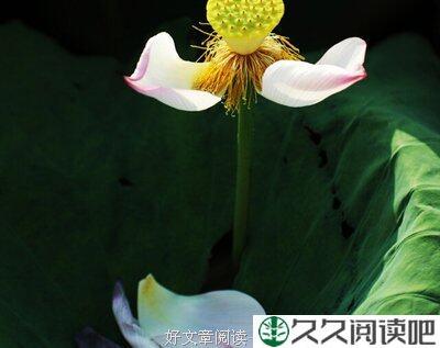 你懂的说话的艺术吗