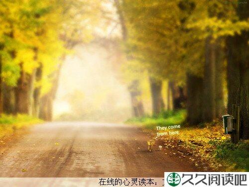 一个女强人的故事