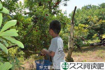 幸福的二十个瞬间，只要你想拥有幸福
