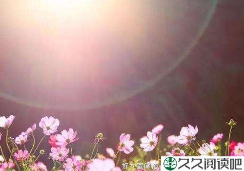 走到哪里，记得带上自己的阳光！