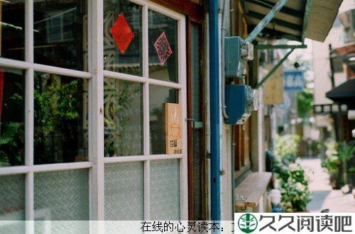 幸福的野花