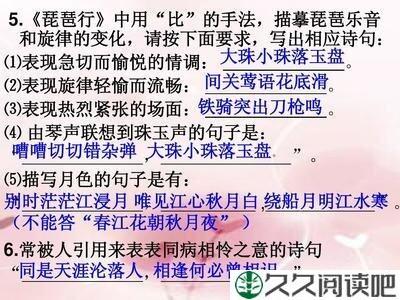 大珠小珠落玉盘句子