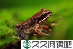悲过，喜过，跳动过