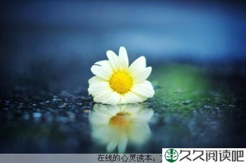 守望心灵的纯洁