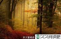 与身外之物保持距离