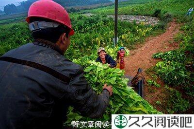 指间萦绕的烟草味是你对我的想念，天空扬起的微风是我给你最好的