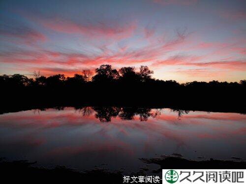 一个月随想