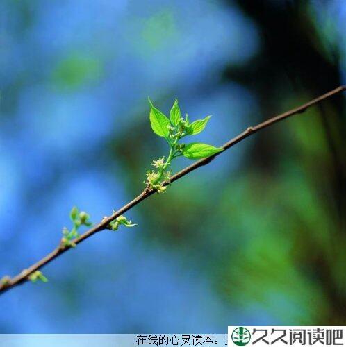 抓住生命的树枝
