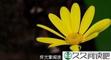 你的付出，不会一无所获