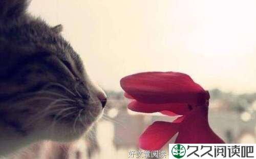 剥夺自己生活的人，谈不上成功