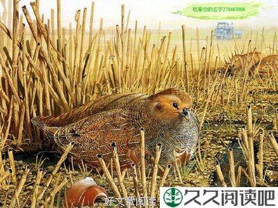 尽力而为还不够