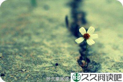 总会有那么多绕不过的徒劳