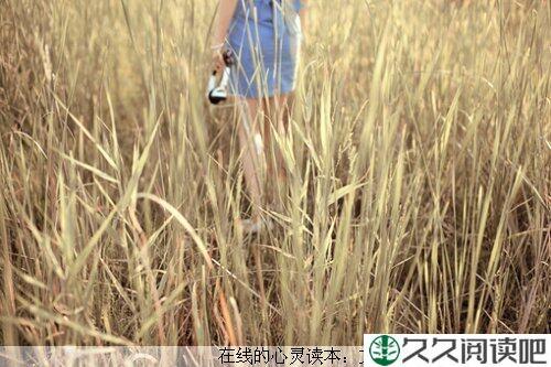 放弃和拥有