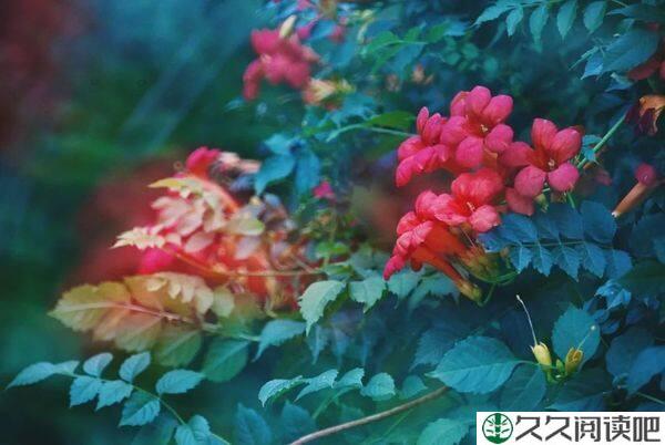 人生短暂，对自己好一点