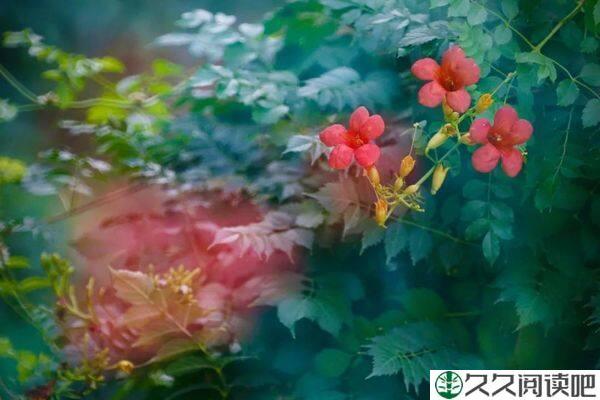 人生短暂，对自己好一点