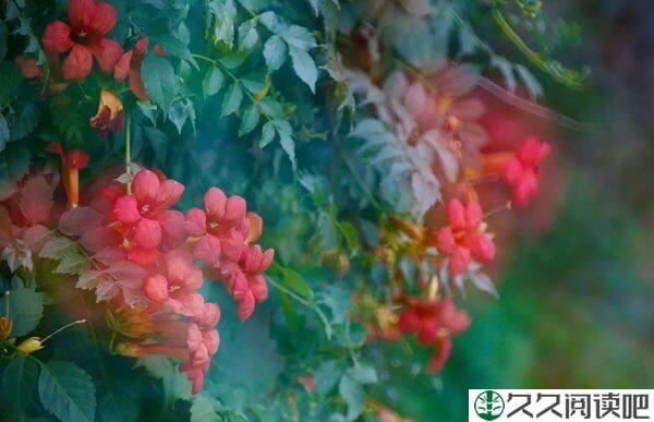 人生短暂，对自己好一点