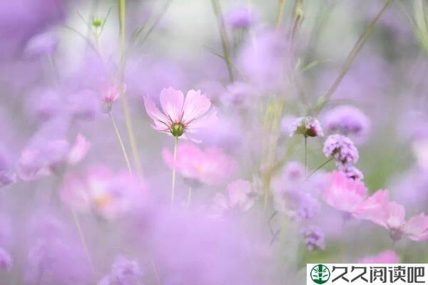 人生的境界，藏在修行里
