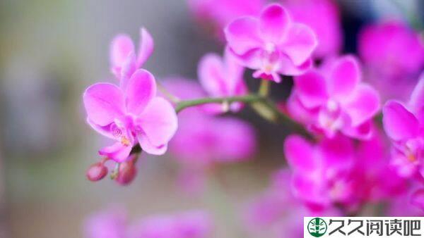 事缓则圆，人专则圆，心宽则圆