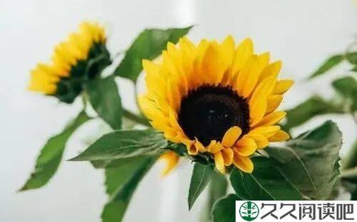 最快乐的活法（深度好文）