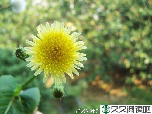 孝敬父母，早一年晚一年，天差地别