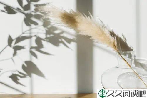 最快乐的活法（深度好文）