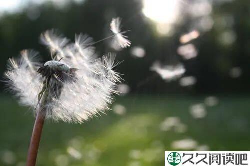 最快乐的活法（深度好文）